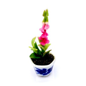 May include: A miniature ceramic potted plant with a vibrant pink and green flower. The small pot is white with blue floral designs. The plant's leaves are green, and the flower has a bell-like shape.