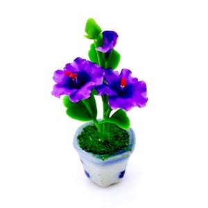 May include: A small potted plant with purple flowers and green leaves. The pot is white with blue accents.