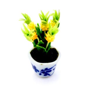 May include: A miniature potted plant with yellow and green pineapple-shaped flowers. The plant is in a small white ceramic pot with blue floral designs. The pot is filled with dark soil, and the background is white.