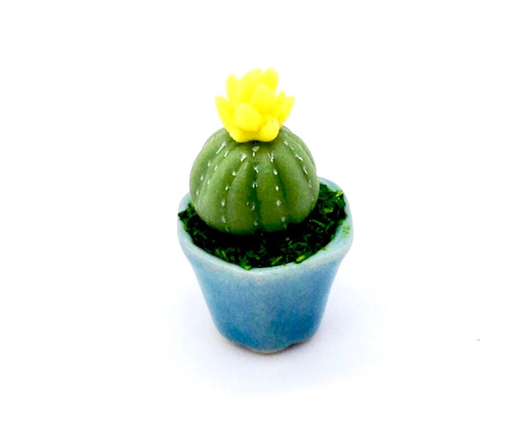 Mini fimo cactus - Etsy Schweiz