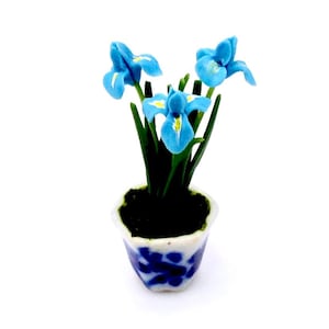 May include: A miniature potted plant with three bright blue iris flowers. The flowers have yellow accents and green stems. The pot is white with a blue floral pattern.