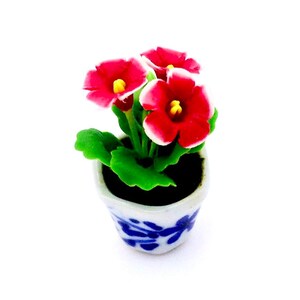 May include: A small potted plant with red flowers and green leaves. The pot is white with blue and white floral designs.