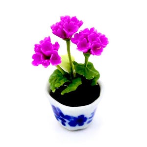 May include: A miniature potted plant with three bright pink flowers and green leaves. The pot is white with a blue and white floral design.