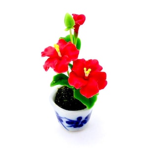 May include: A miniature potted plant with red hibiscus flowers in a blue and white ceramic pot.
