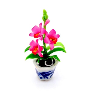 May include: A pink orchid plant in a blue and white ceramic pot. The plant has several pink flowers and green leaves.