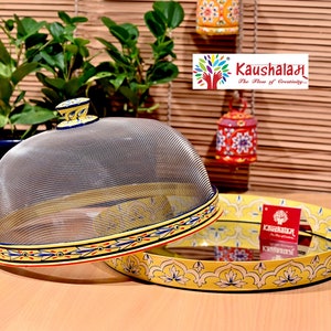 Mesh Food Screen Bug Cover And Tray Hand painted Cloche with round steel tray: Dome food cover of wire mesh and Round plate