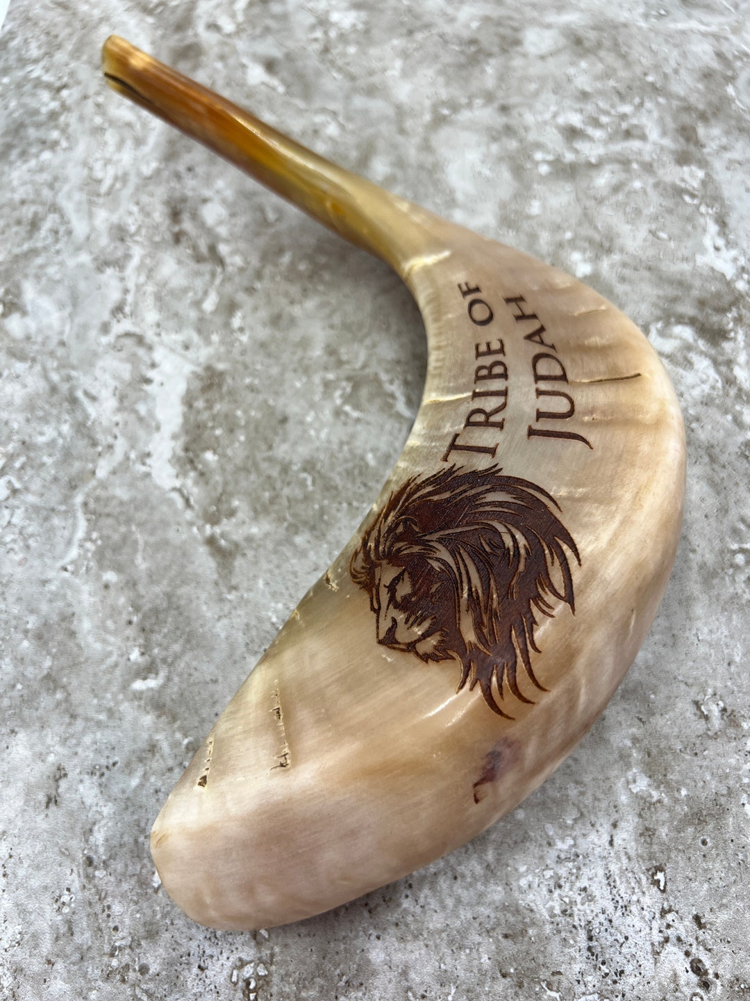 Shofar Lion of Judah With Tribe of Judah in English 15 Inch Etsy