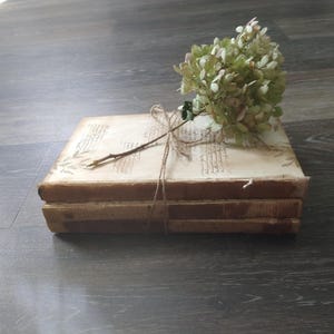May include: A stack of three vintage books with a brown leather cover and white pages. A sprig of white flowers is tied to the top book with twine.