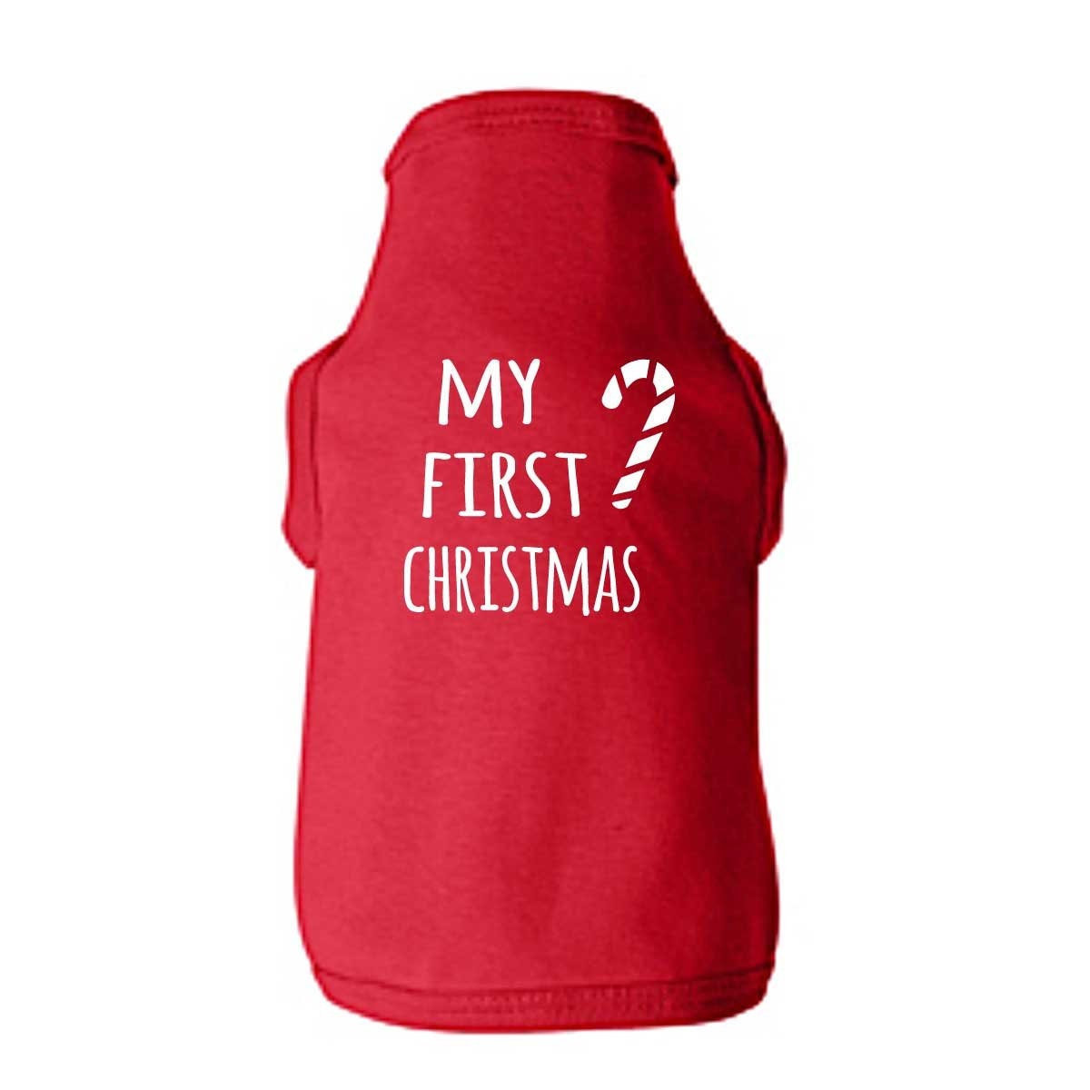 irish red nose pitbull