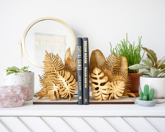 monstera albo standleyana 6" Monstera Standleyana Albo