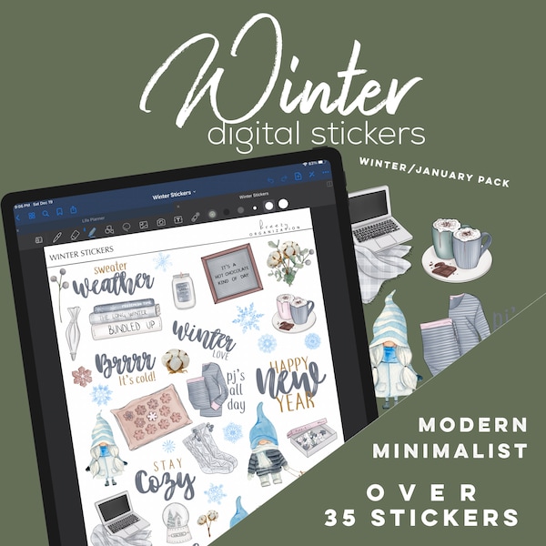 Adesivi digitali invernali per Goodnotes / Adesivi digitali di gennaio per pianificatori digitali