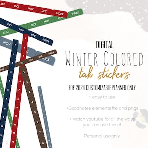 Winter Colored Tab 2024 Stickers for Goodnotes, winter tab stickers | Month tab digital stickers