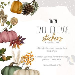 May include: Digital fall foliage stickers featuring watercolor illustrations of pumpkins, pine cones, and autumn leaves. The text reads "FALL FOLIAGE stickers + easy to use". Includes Goodnotes and Noteful files and pngs. Personal use only.