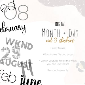 Month and Day Stickers VOL 3 for digital planning | Mix and Match daily and monthly stickers