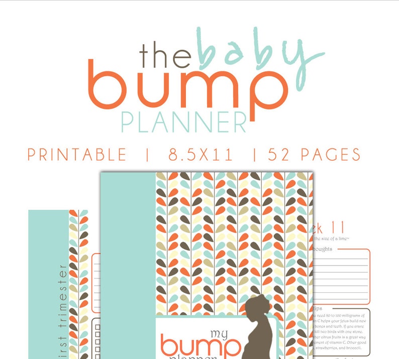 Pregnancy Journal Pdf