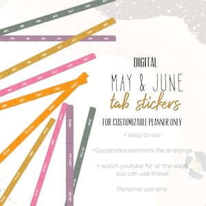 May & June Colored Tab 2025 Stickers for Goodnotes and Noteful, Planner tab stickers | Month tab digital stickers