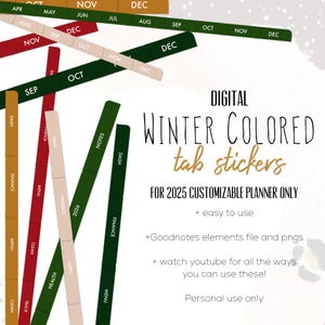 Winter Colored Tab 2025 Stickers for Goodnotes, winter tab stickers | Month tab digital stickers