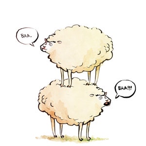 Dolly the Sheep (and Clone!)