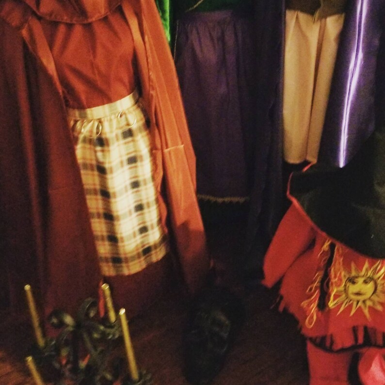 Winifred Disney Hocus Pocus and Mary Sarah Witch Sanderson Witches Halloween Costumes Sanderson Sisters 25th Anniversary Hocus Pocus