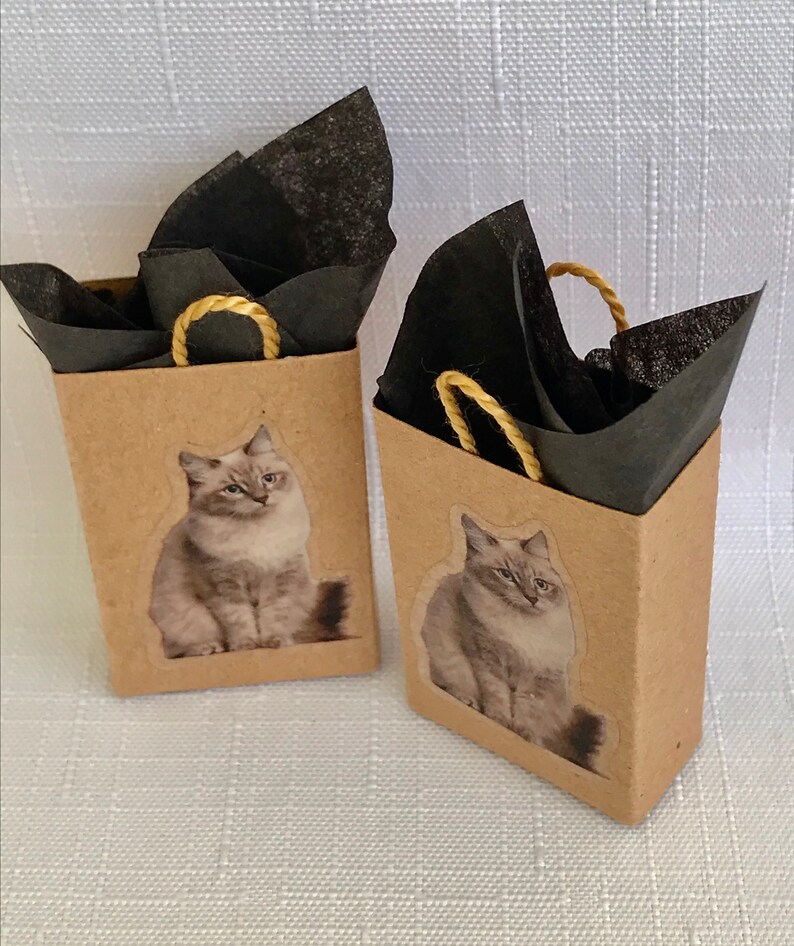Cat Gift Bag Etsy