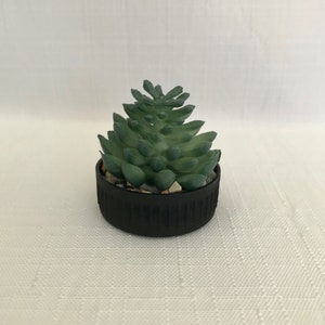 Potted Topiary