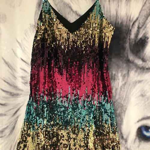 Gorgeous Sequin Dress Largesequin 