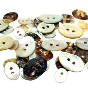 May include: A collection of oval-shaped, two-hole shell buttons in various shades of brown, beige, and white.