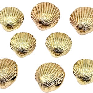 Peut inclure: Gros plan de plusieurs éléments décoratifs dorés en forme de coquillage. Les coquillages ont une surface texturée détaillée avec des lignes rayonnantes, disposés sur fond blanc. Ces éléments sont adaptés aux projets créatifs.