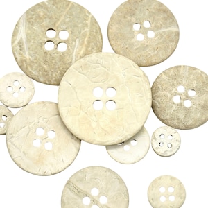 May include: A collection of ten natural coconut shell buttons in various sizes. The buttons are a light beige colour with a natural, textured finish. Each button has four holes.