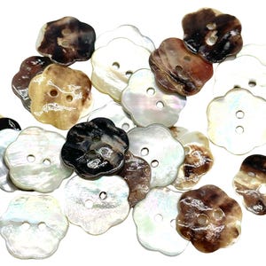 May include: A collection of two-hole flower-shaped buttons made from natural shell. The buttons are in various shades of brown, white, and beige.