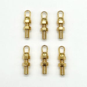 May include: Six gold-toned metal screw-on eyelet hooks with a loop at the top. The hooks are approximately 2.5 cm long.