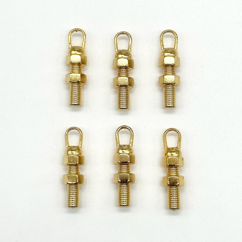 May include: Six gold-toned metal screw-on eyelet hooks with a loop at the top. The hooks are approximately 2.5 cm long.
