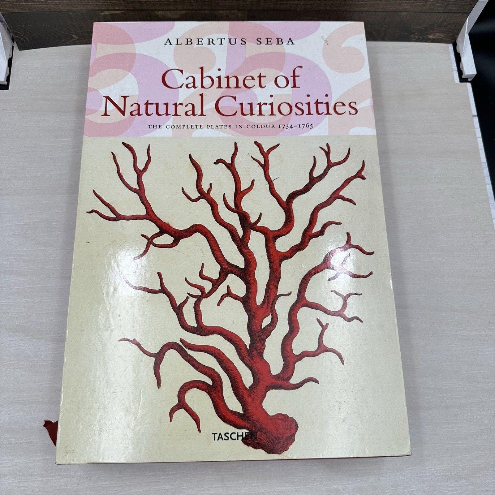 2005 Taschen Albertus Seba Cabinet of Natural Curiosities
