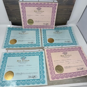 May include: Five BabyLand General Hospital birth certificates in clear plastic sleeves. Four certificates feature teal decorative borders, and two feature purple borders. Each document includes a gold foil seal, printed text, and handwritten names.