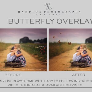 Beautiful Butterfly Photoshop overlay Add a little special touch to your photos EASY to follow step by step instructions
