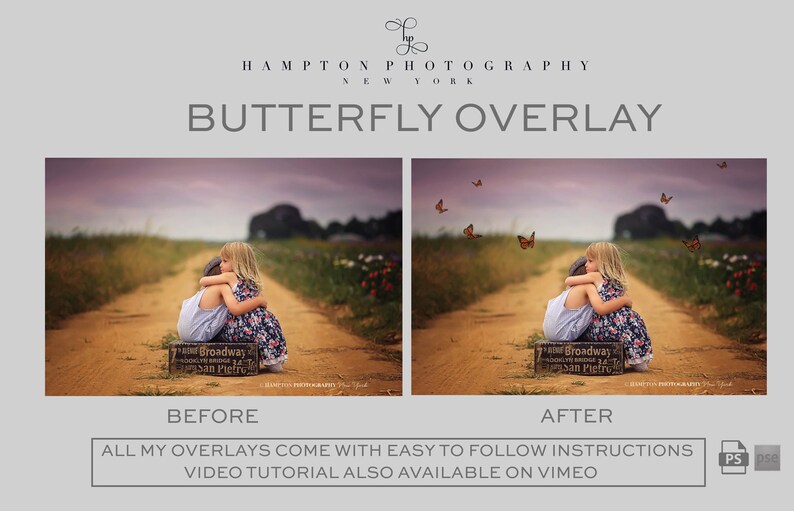 Beautiful Butterfly Photoshop Overlay Add a Little Special Touch to ...