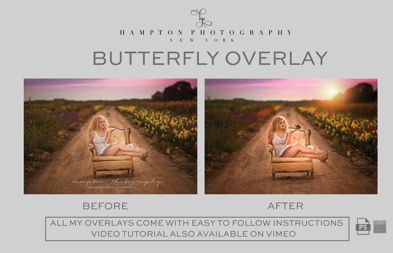 Beautiful Butterfly Photoshop Overlay Add a Little Special Touch to ...