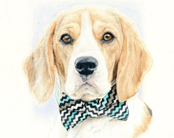 Print of Beagle Portrait Drawing