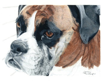 Print of Boxer Portrait Drawing