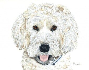 Greeting Card of Wheaten Terrier Drawing