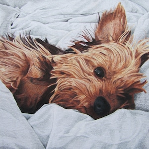 Print of Yorkshire Terrier Drawing