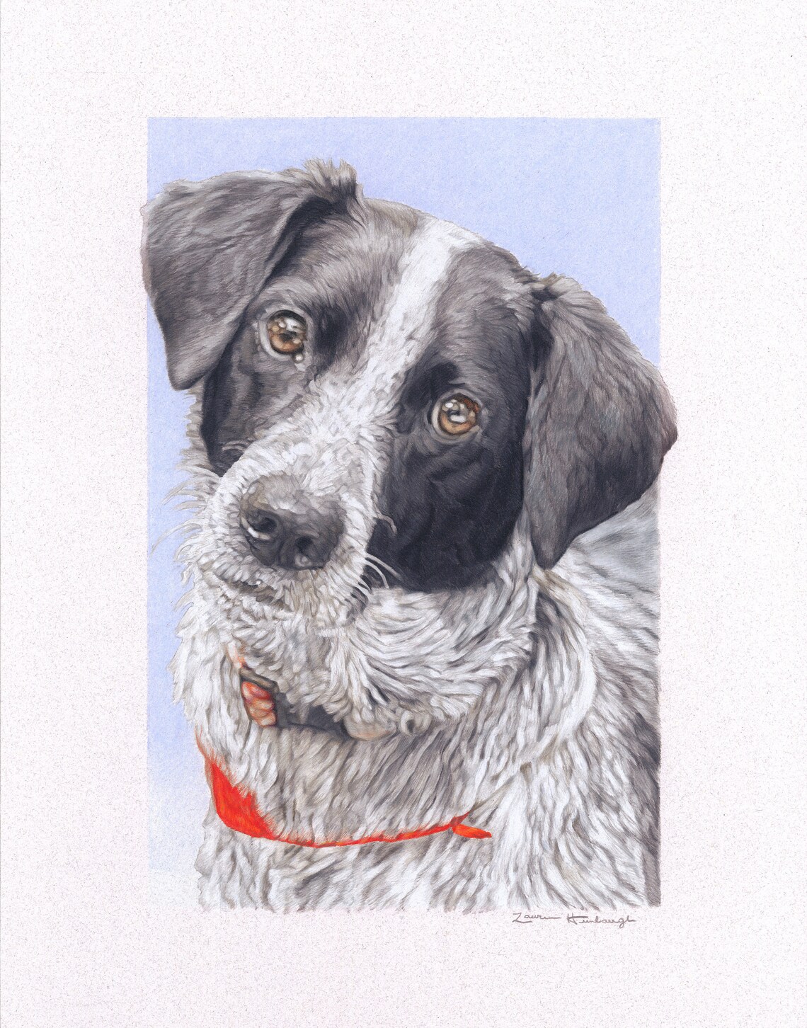 Print of Blue Heeler Mix Drawing Etsy