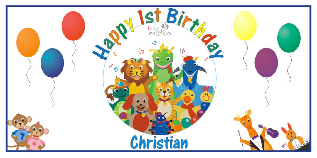 Personalized Baby Einstein Birthday Party Big Vinyl Banner Sign