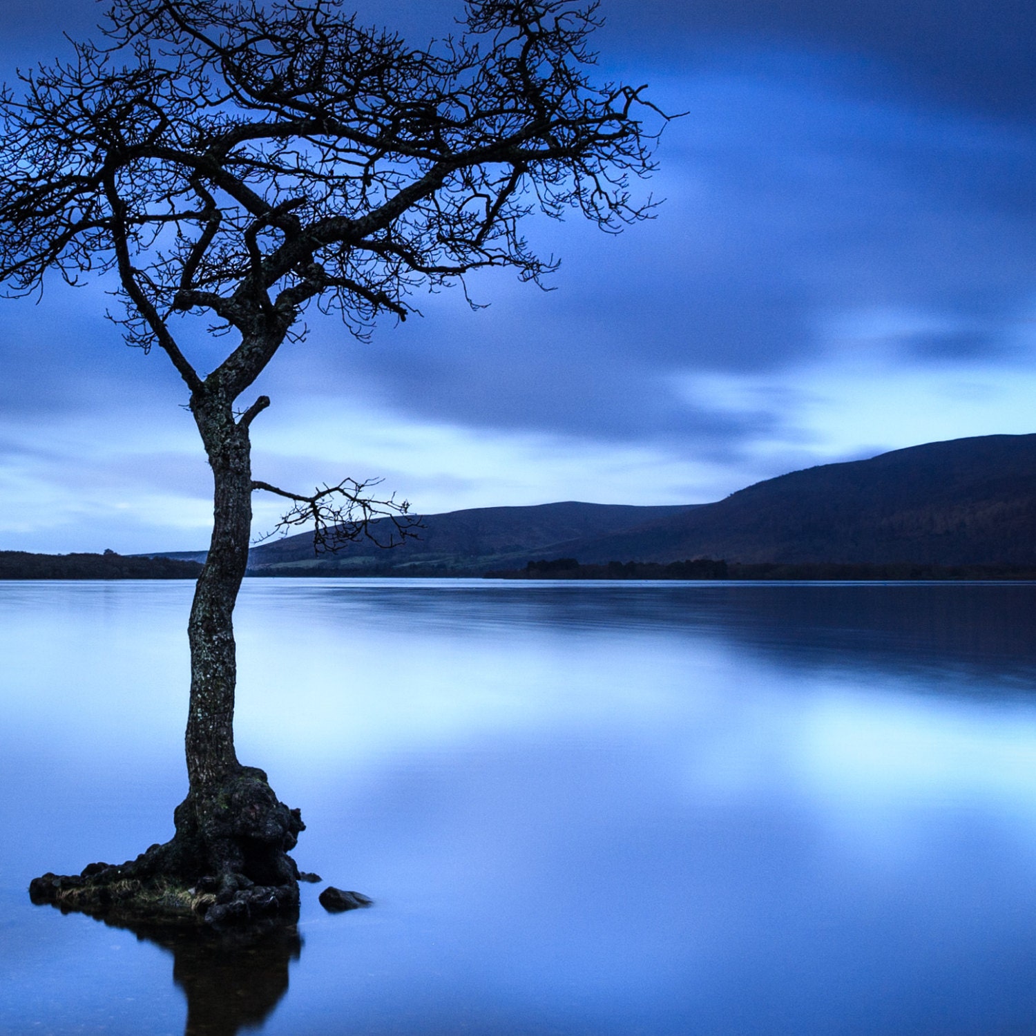 OVERSIZED WALL ART Nature Photography Extra Large Wall Art Etsy