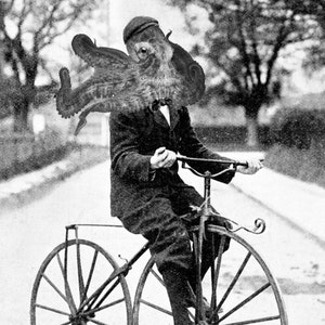 May include: A black and white photo of a person riding a bicycle with an octopus head. The bicycle has a large front wheel and a smaller back wheel.