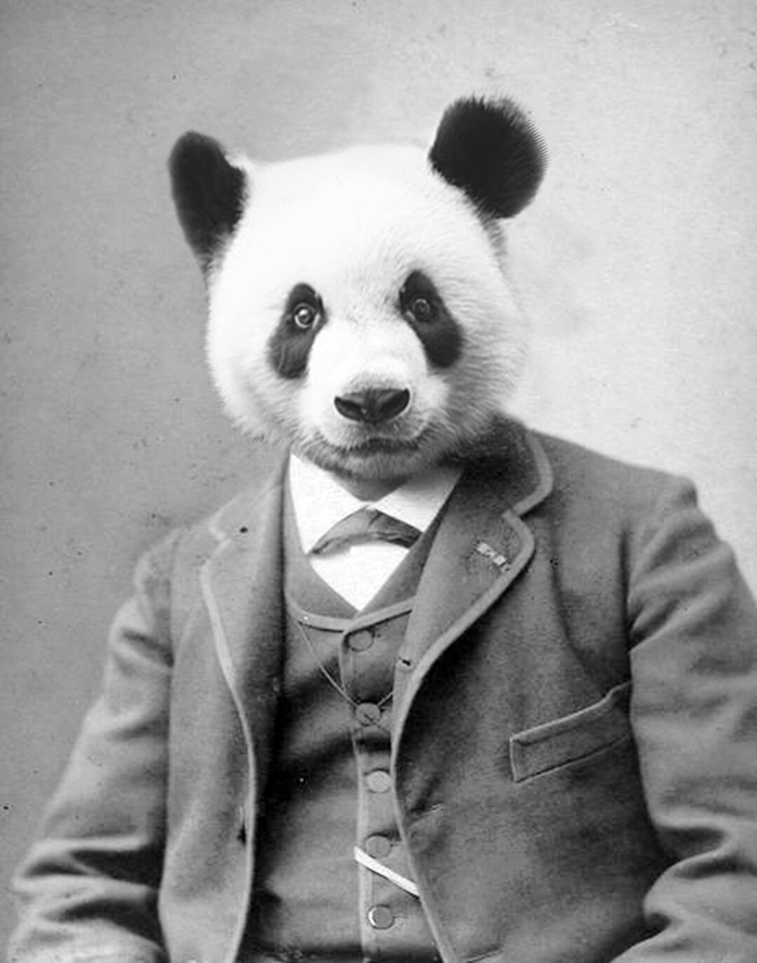 Distinguished Panda - Etsy