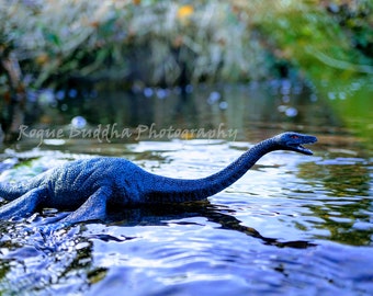 Plesiosaurus Swimming