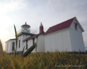 May include: A white lighthouse with a red roof, partially obscured by tall green grass in the foreground. The lighthouse is set against a cloudy sky.