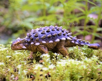 Ankylosaurus on a Walk