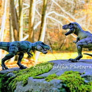 Tyrannosaurus Rex (T-Rex) Meeting